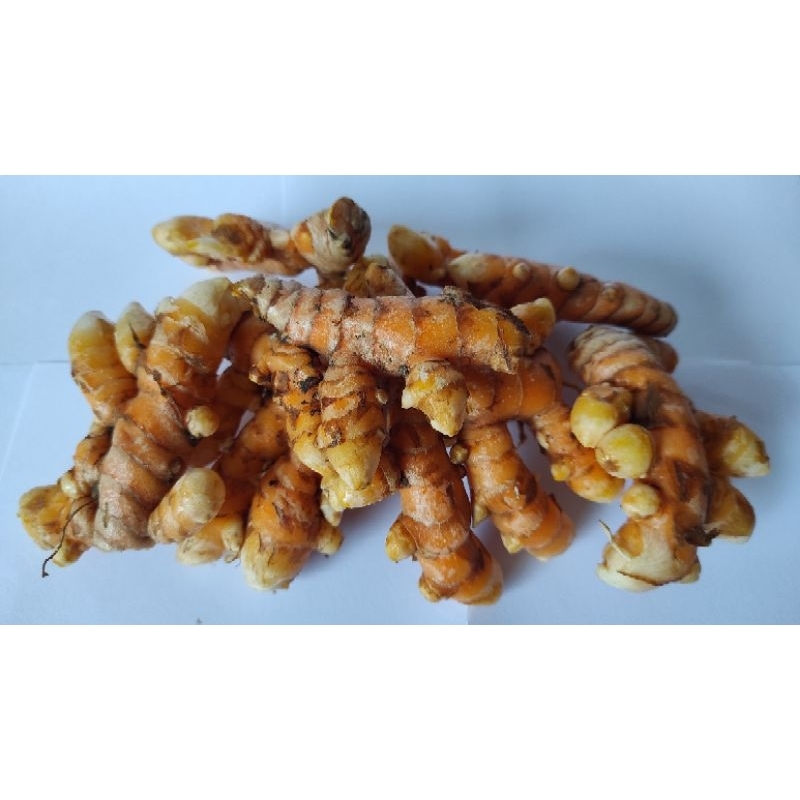 

KUNYIT KUNING SEGAR BUMBU MASAK/JAMU KESEHATAN