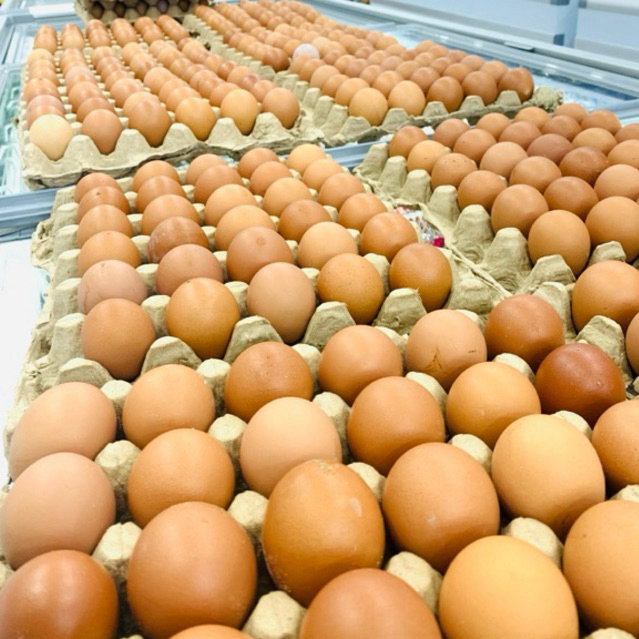 

TELUR AYAM 1 RAK