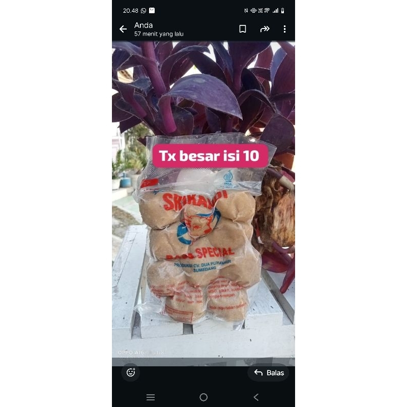 

bakso frozen srikandi