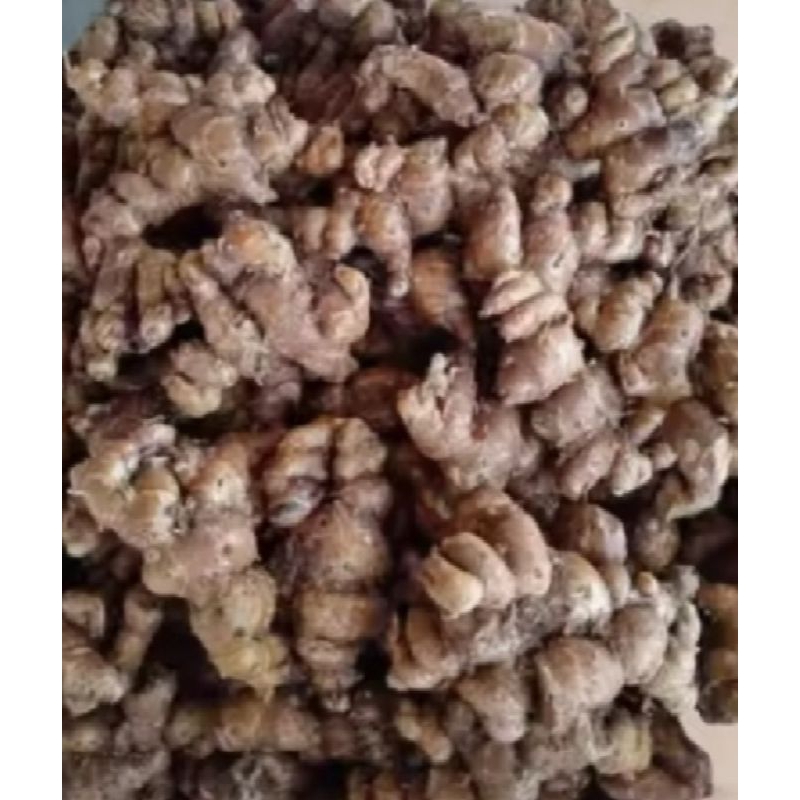 

kencur/kencur segar 1 KG