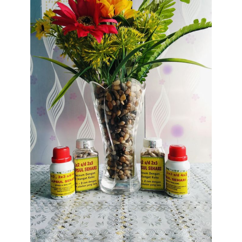 

KAPSUL PENDAMPING KANKER (HARGA DISKON)