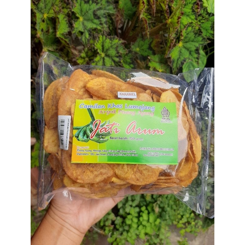

Keripik Pisang Agung JATI ARUM 250 G (Camilan Khas Lumajang)