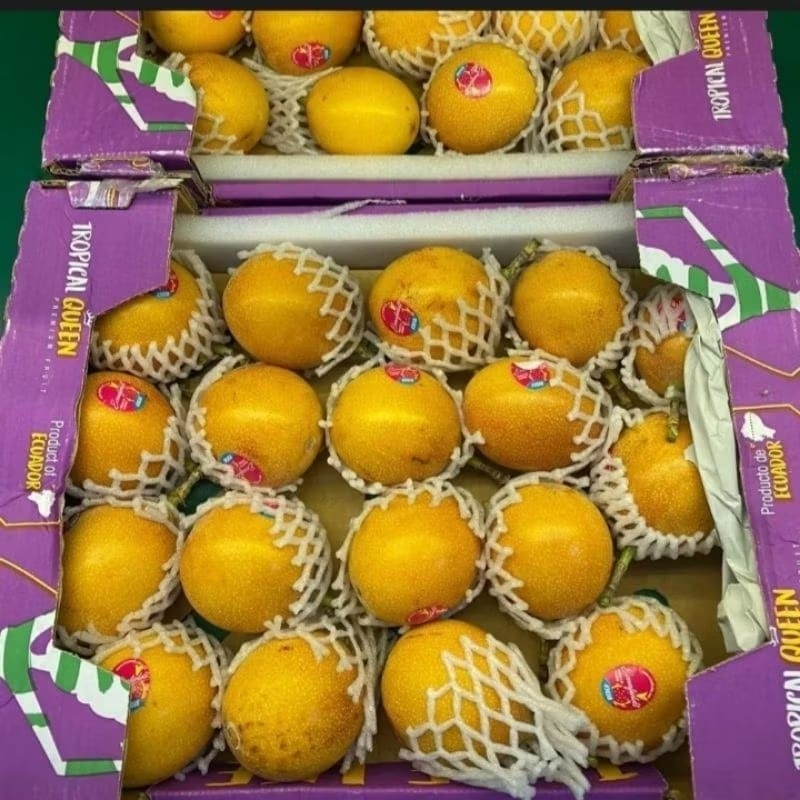 

2 buah Markisa konyal Ekuador fresh