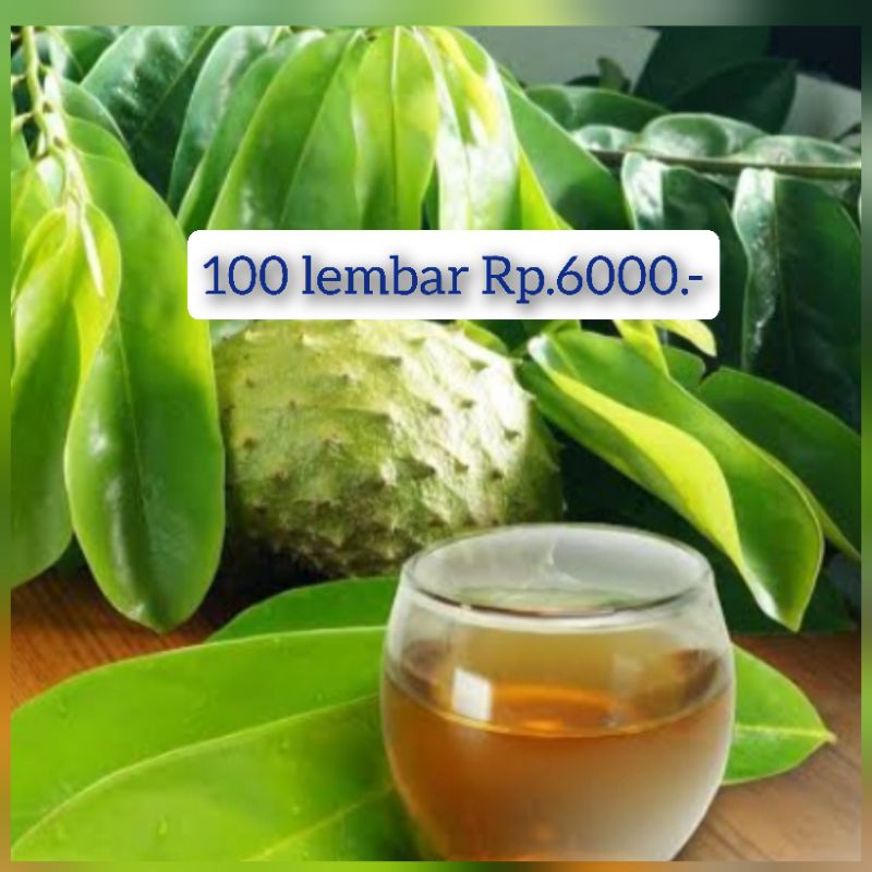 

PROMO DAUN SIRSAK 100 lembar Rp 6000