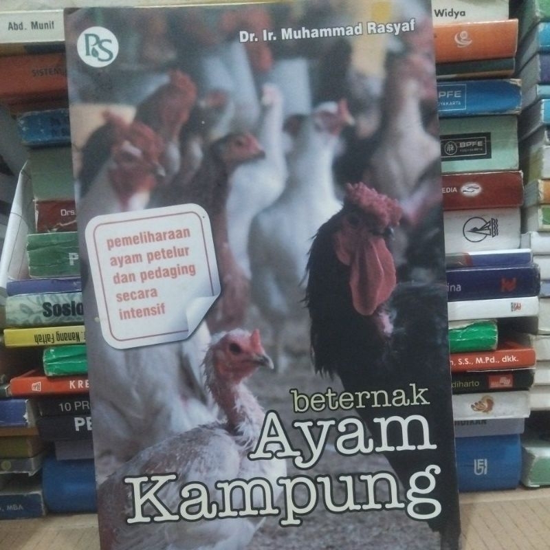 Beternak Ayam Kampung
