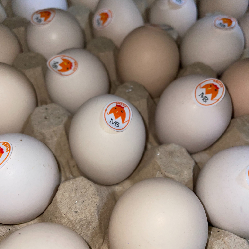 

RB [Grade A] Telur Ayam Kampung Omega 30 Butir Ukuran Besar