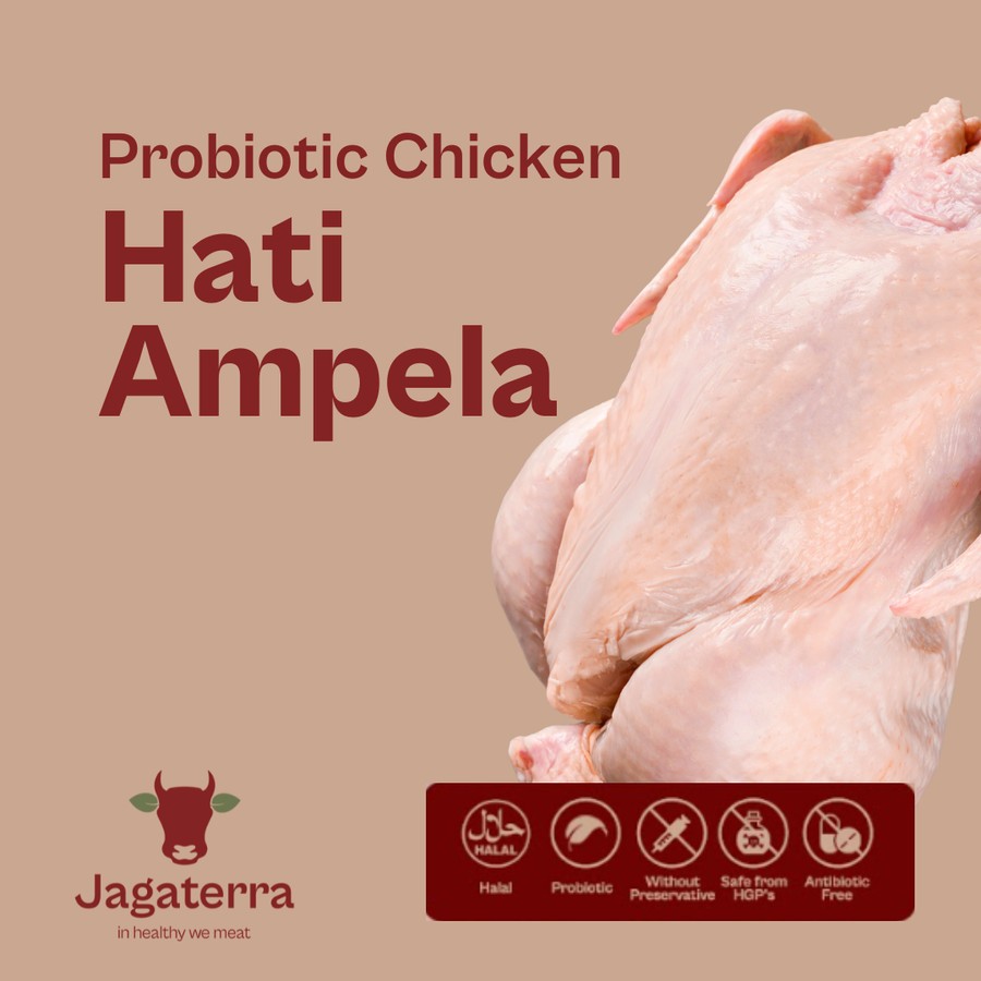 

Ati Ampela Ayam Negri Probiotik Berkah