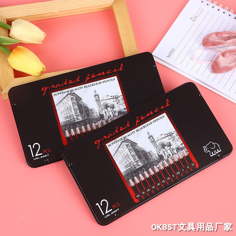 

Ay00! NGZ 12 pcs Pensil Gambar Sketsa Set Lengkap 2H H F B HB 2B 3B 4B 5B 6B 7B 8B Charcoal Pencils