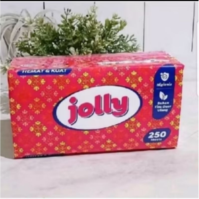 (NEW) Jolly 250 sheet 2 fly