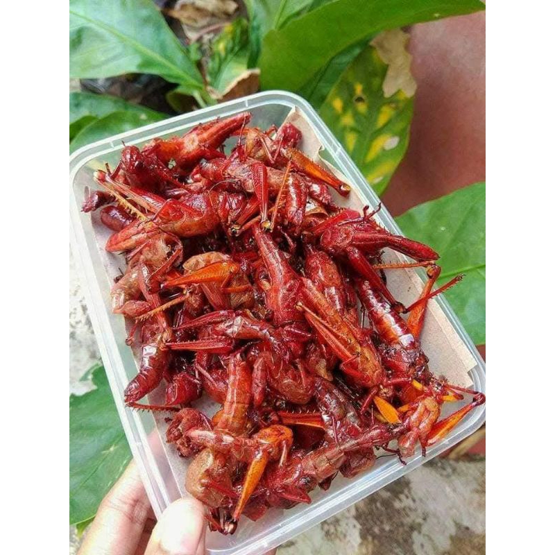 

Belalang kayu original/tanpa bumbu