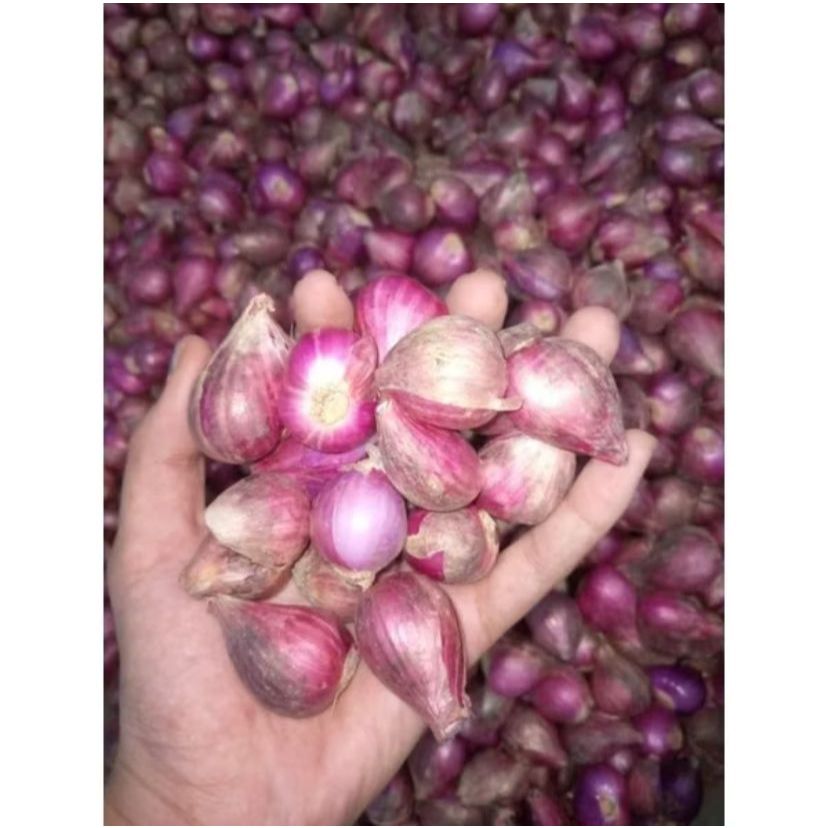 

Bawang merah Super bali karet super murah 1kg