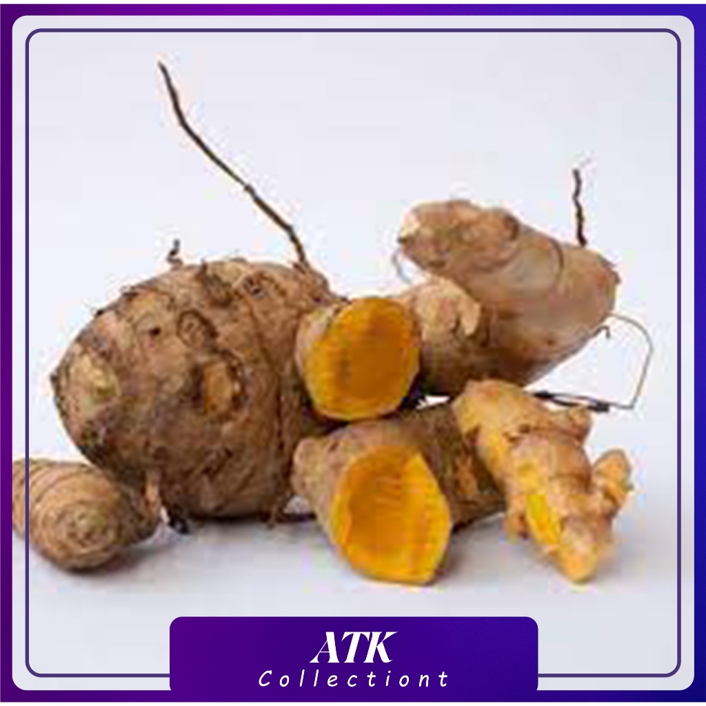 

Temulawak 1 Kg - Gerobak Sayur Palembang / Temulawak