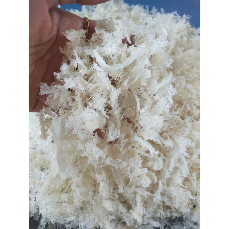 

sarang burung walet hancuran original kwalitas premium per gram