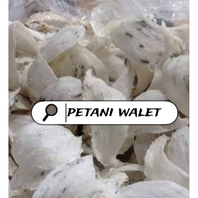 

SARANG BURUNG WALET KOTOR HARGA PER 10 GRAM
