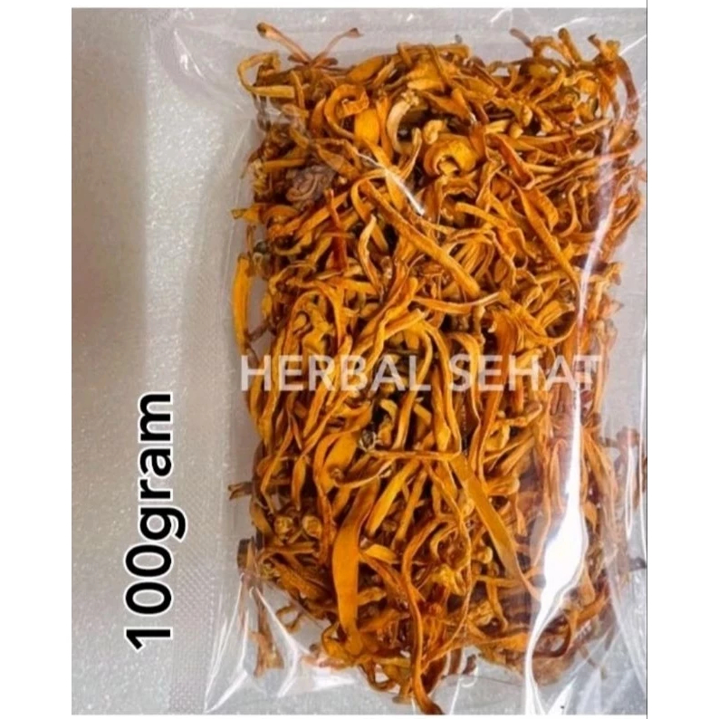 

100GRAM Bunga Cordyceps Herbal CongCaohua Chong Cao Hua Cong Cao Hua Chongcaohua 100gram Cordyceps Militaris 虫草花 Untuk Kesehatan Paru Paru Dan Stamina