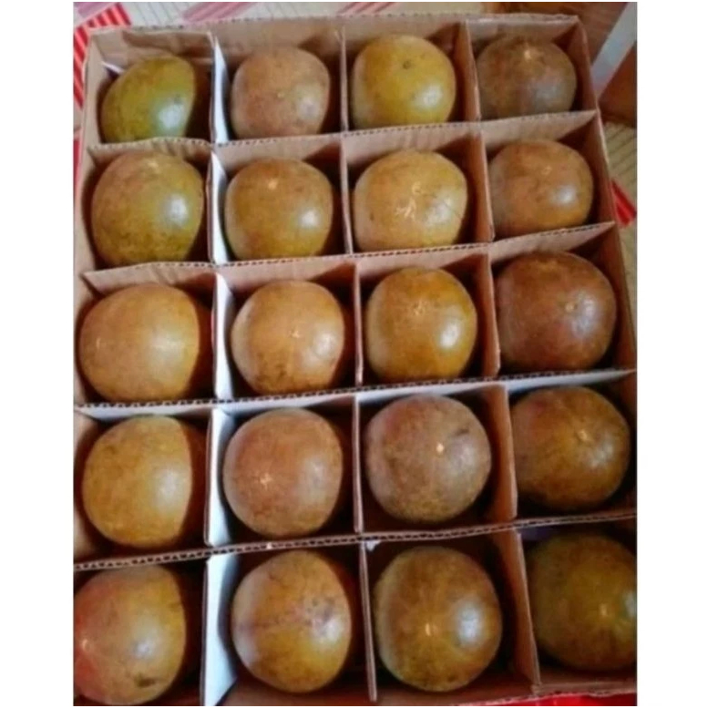 

LOHANKUO LO HAN KUO BUAH BESAR 1KOTAK 20BUTIR HERBAL ALAMI LOHANKUO BUAH BESAR