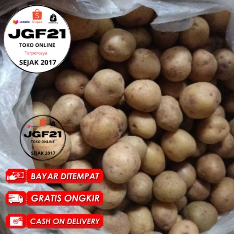 

250Gr Pusat Kentang dieng Medium Fresh Sayuran dapur