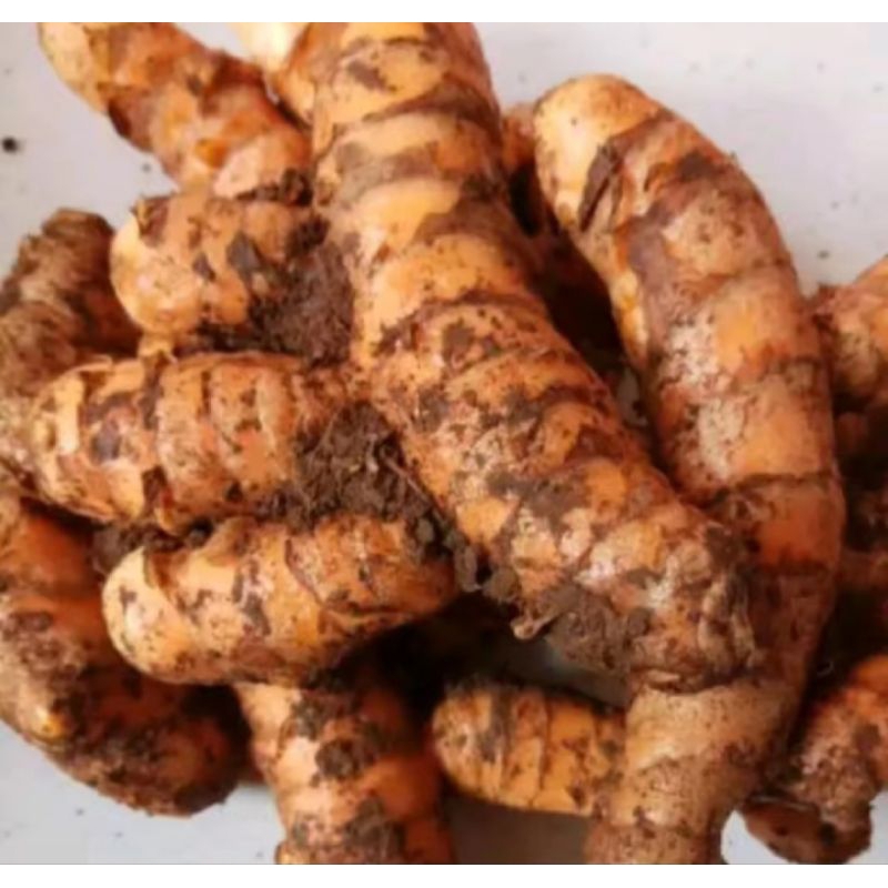 

kunyit kuning - laja lengukuas -sufer fresh 500 gram