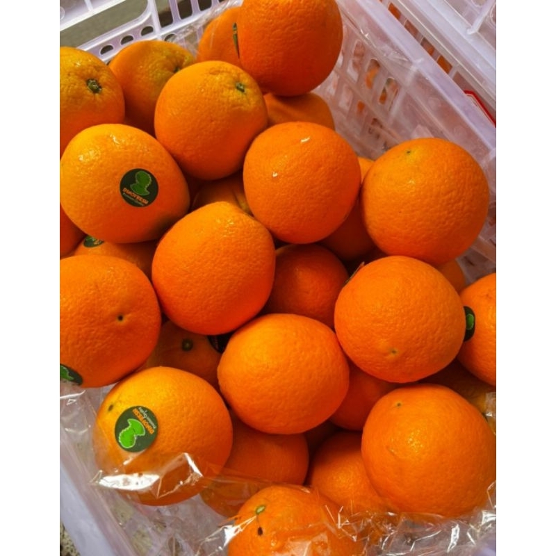 

Jeruk Navel RRT 1 keranjang 14 kg