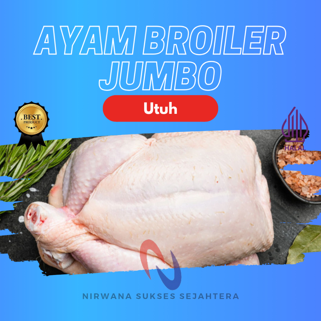AYAM JUMBO, AYAM NEGERI PEDAGING UTUH / WHOLE JUMBO BROILER CHICKEN