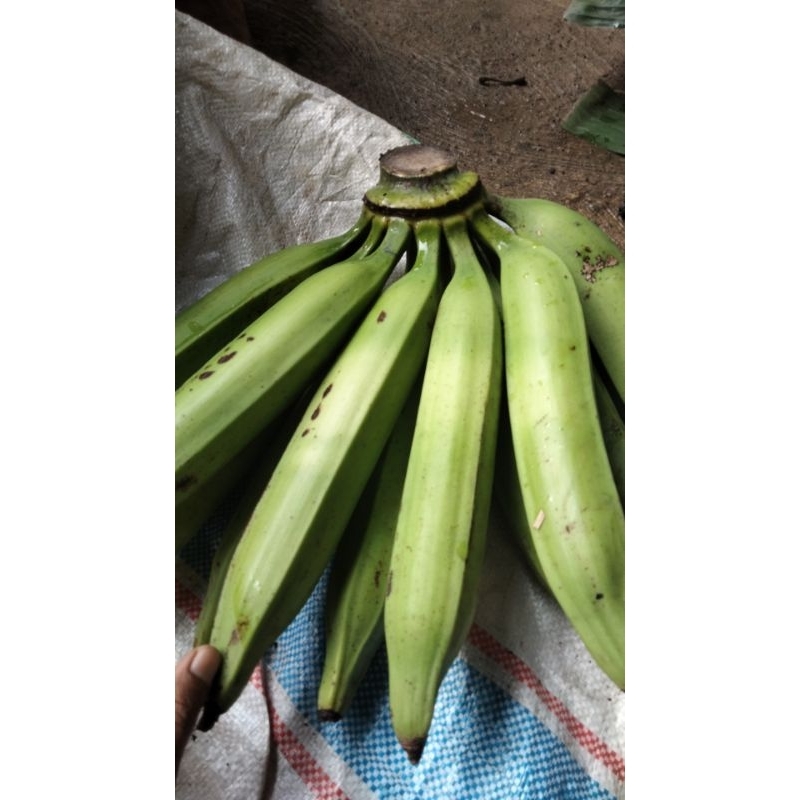 

pisang tanduk lereng gunung Muria rasa manis pulen berat 1kg. isi 3-4