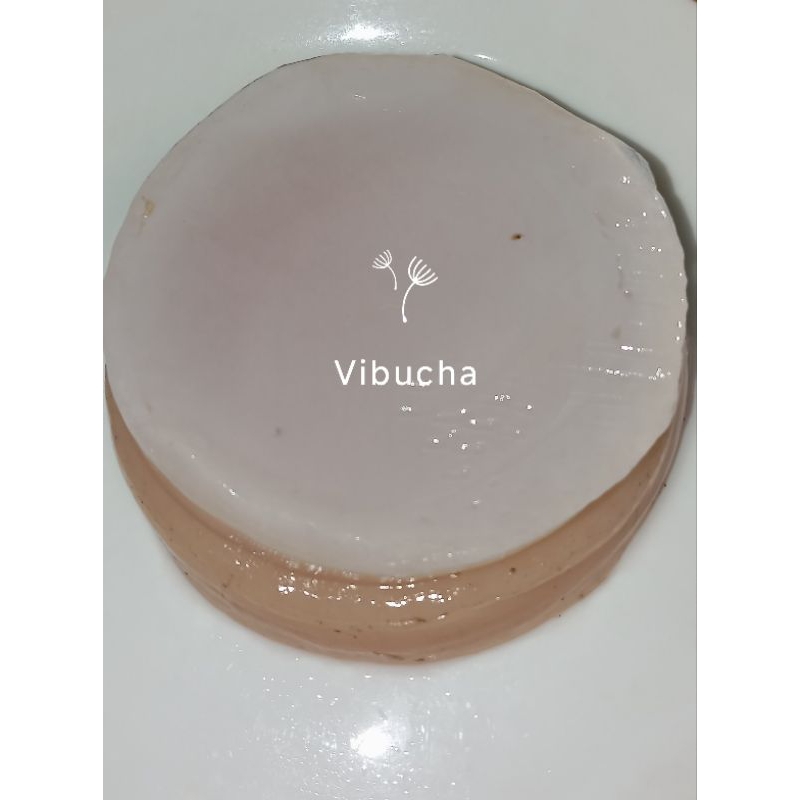 

Paket Lengkap Produksi Kombucha