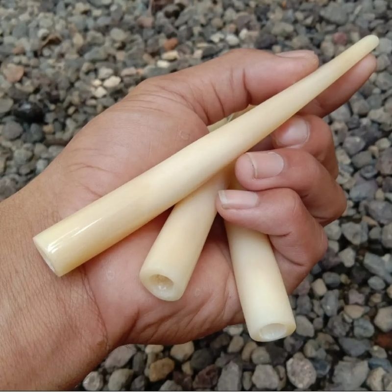Once pipa tulang super sangat elegan panjang variasi 10~15 cm