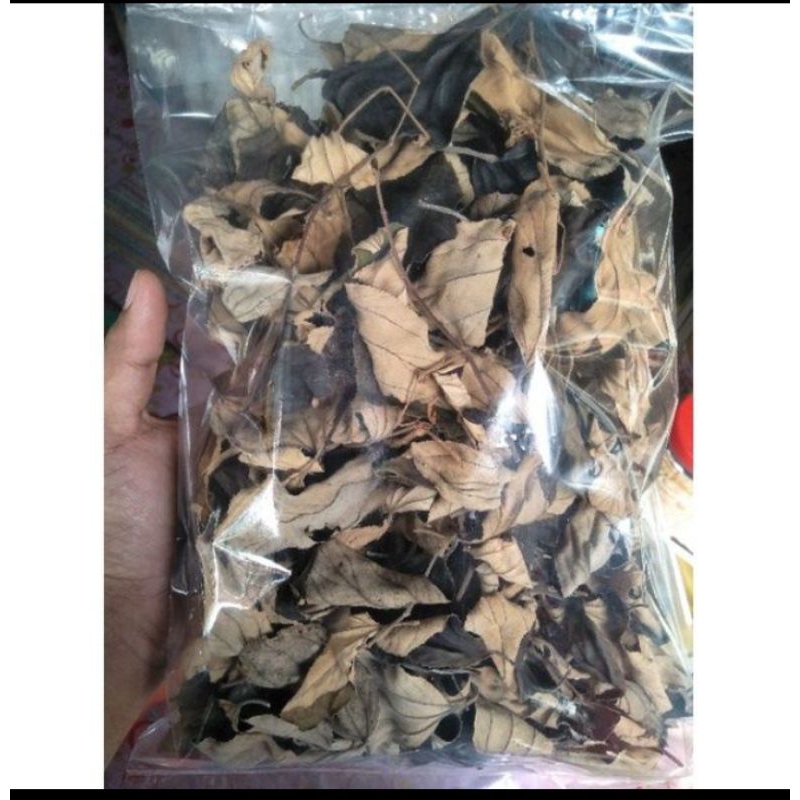 

Daun Bidara kering obat herbal