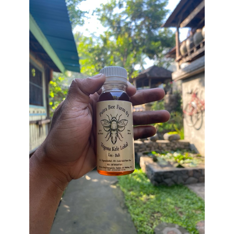 

madu lebah kele (TRIGONA)