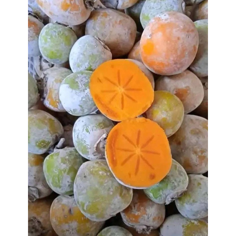 buah kesemek  ±1kg
