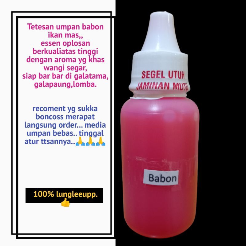 Essen ikan mas babon