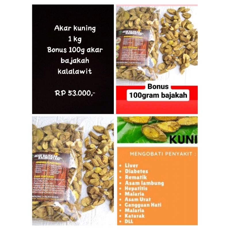 

Akar kuning asli kalimantan