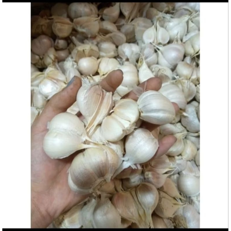

bawang putih kating 1kg / 1/2kg