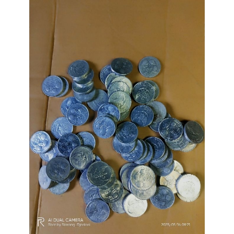 koin 25 rupiah buah pala asli