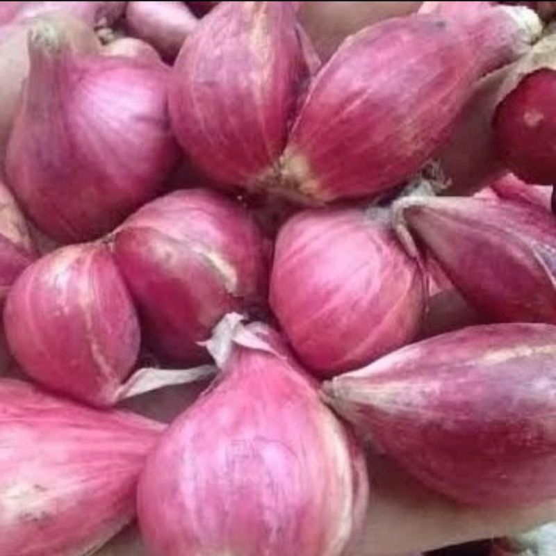 

Bawang Merah Brebes 250 gram