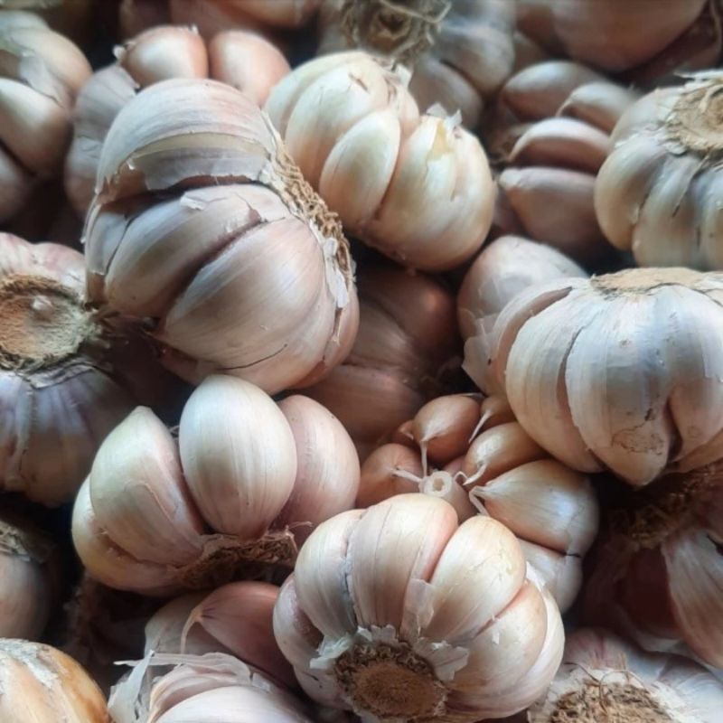 

Bawang Putih Honan 250 gram