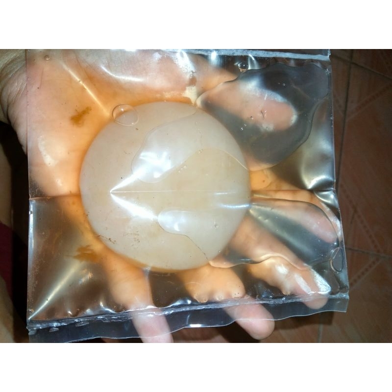 

Scoby Kombucha Premium