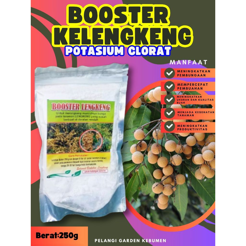 PROMO  Booster Buah Kelengkeng Merah, Booster Buah Kelengkeng Matalada Berbuah, Booster Buah Kelengk