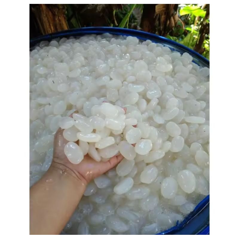 

Kolang kaling segar fresh 1kg