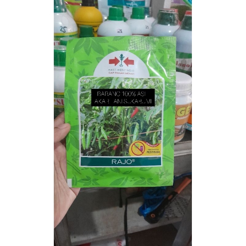 BENIH CABAI RAWIT RAJO 2250 BUTIR