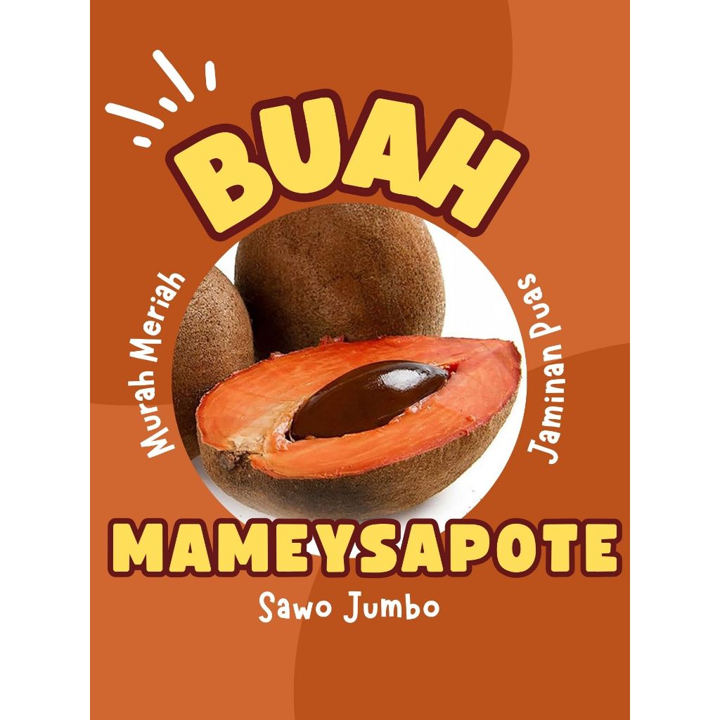 

STOK TERBATAS !! Buah Sawo Jumbo Mamae Sapote