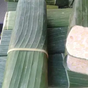 

TEMPE UKURAN BESAR
