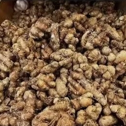 

kencur seger 1kg bahan bumbu seblak