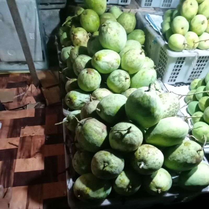 

mangga cengkir gumading 1kg