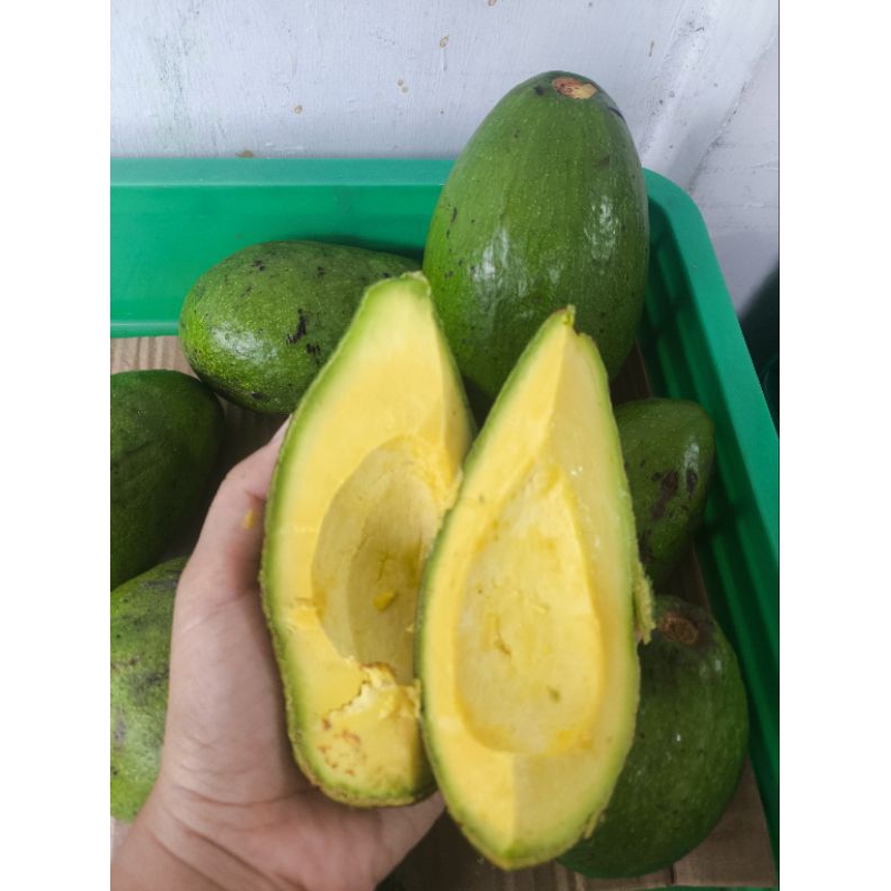 

Alpukat Mentega - Alpukat Manis Legit dan Creamy 1000 gr