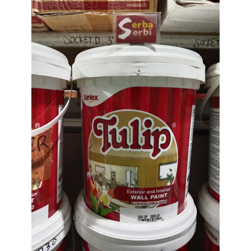 -18KG TULIP-Cat air tembok Wall paint 18kg Tulip paint Sanlex brand (instant area pekanbaru)