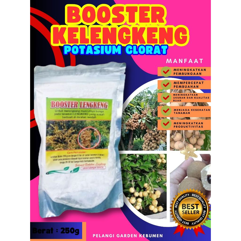PROMO  Boster Kelengkeng Asli, Boster Kelengkeng Aroma Durian
