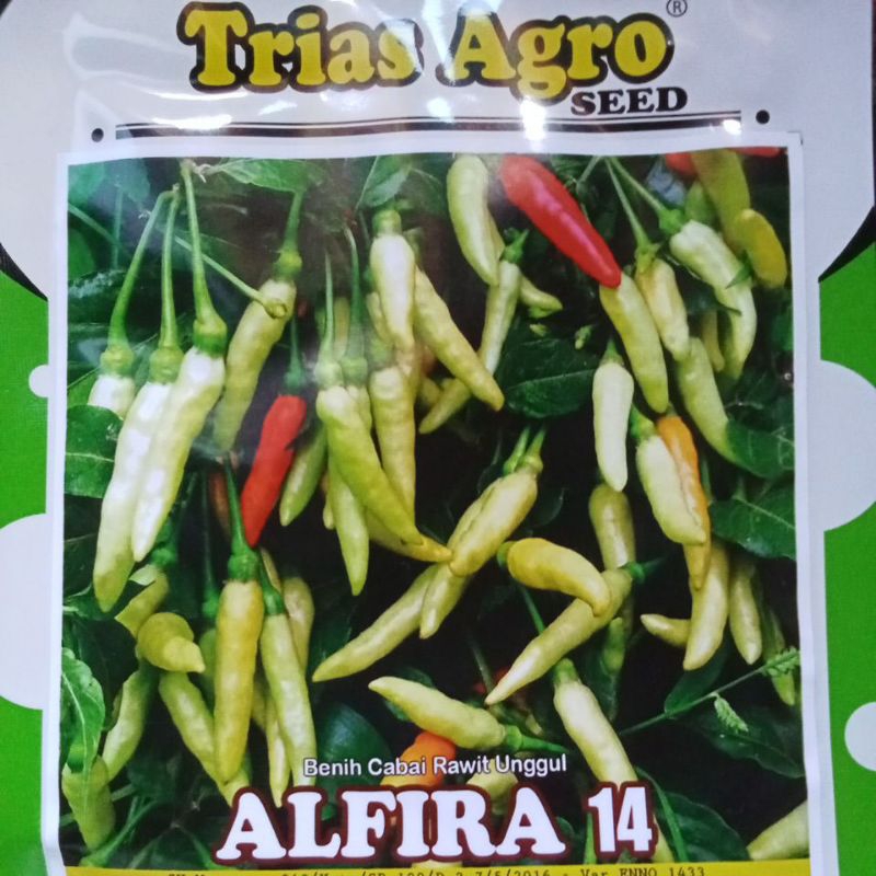 benih cabai rawit unggul ALFIRA 14