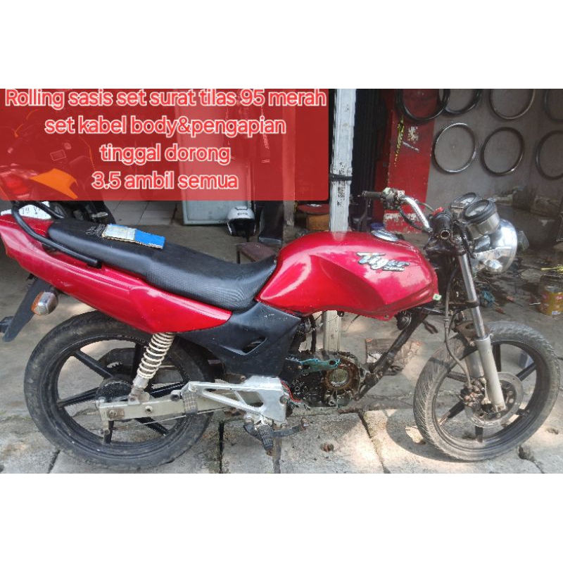 surat tiger 95