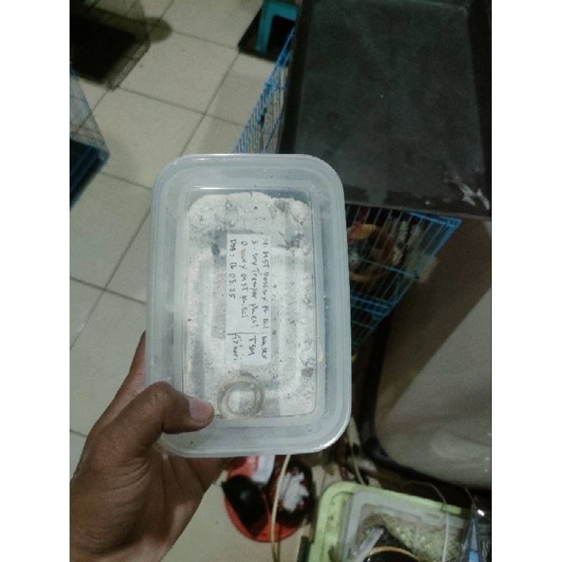 box plastik serbaguna